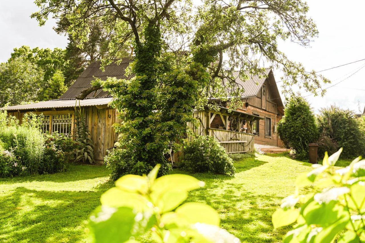 Villa Idilliska Latgaliesu Lauku Maja Ar Melno Pirti Aglona Exterior foto