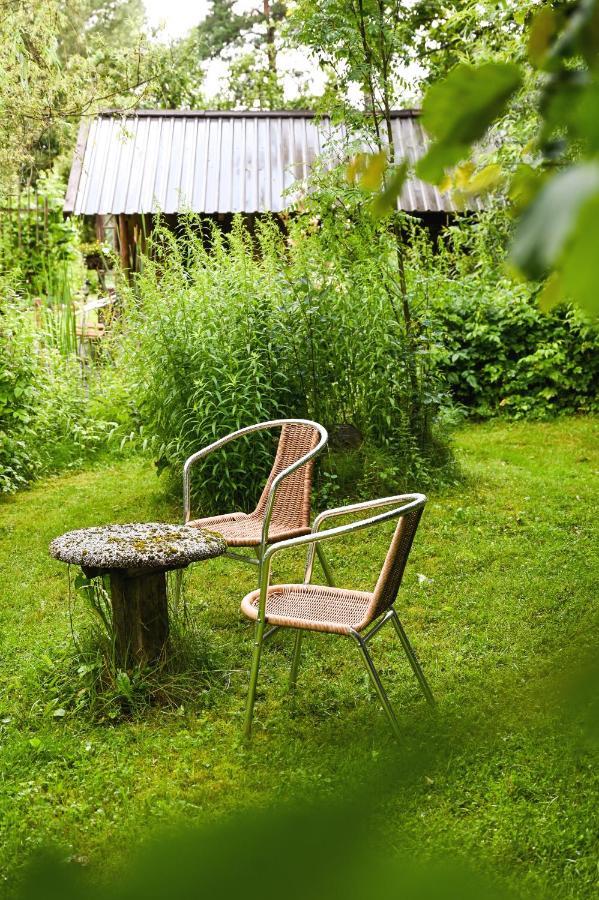 Villa Idilliska Latgaliesu Lauku Maja Ar Melno Pirti Aglona Exterior foto